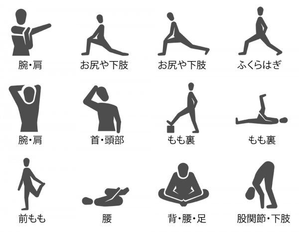 筋肉の柔軟性について｜刈谷市のパーソナルトレーニングジム『パーソナルジムエックス』